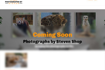 Photographs by Steven Shop