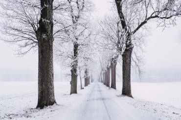 Capturing those special winter moments