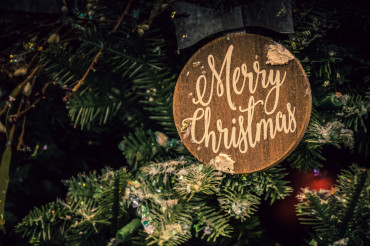 12 Days of Christmas Zoo Edition