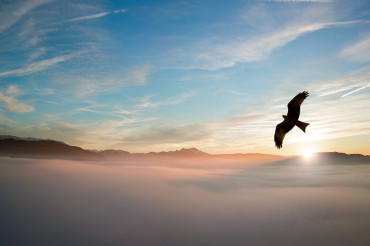 Photography Trends of 2022