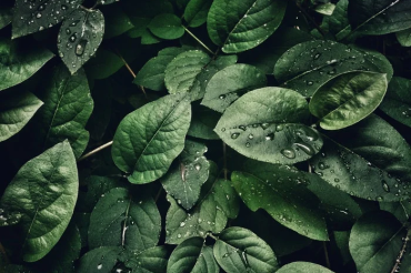 Nature Photography: Everything You Need to Know