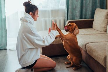 Portrait Photography Challenge: Pets as Family Members