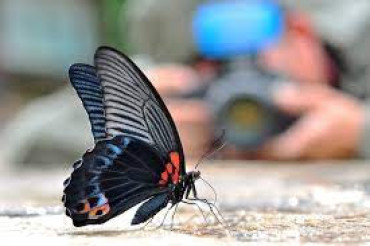 Macro photography is what?