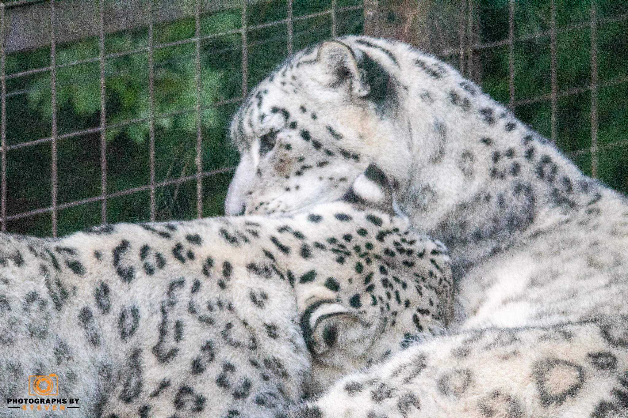Paradise Wildlife Park Summer Evening 13