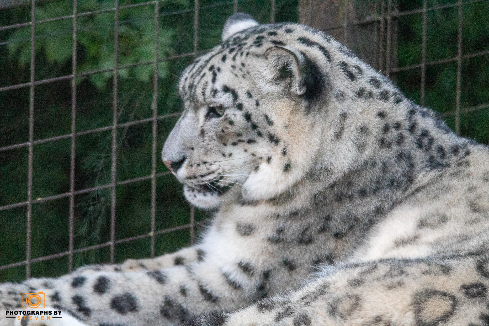 Paradise Wildlife Park Summer Evening 9