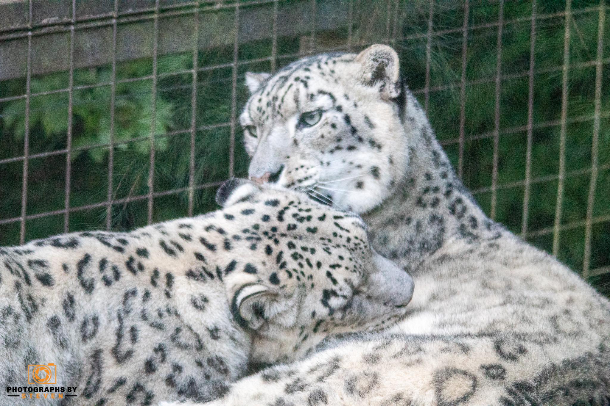 Paradise Wildlife Park Summer Evening 11