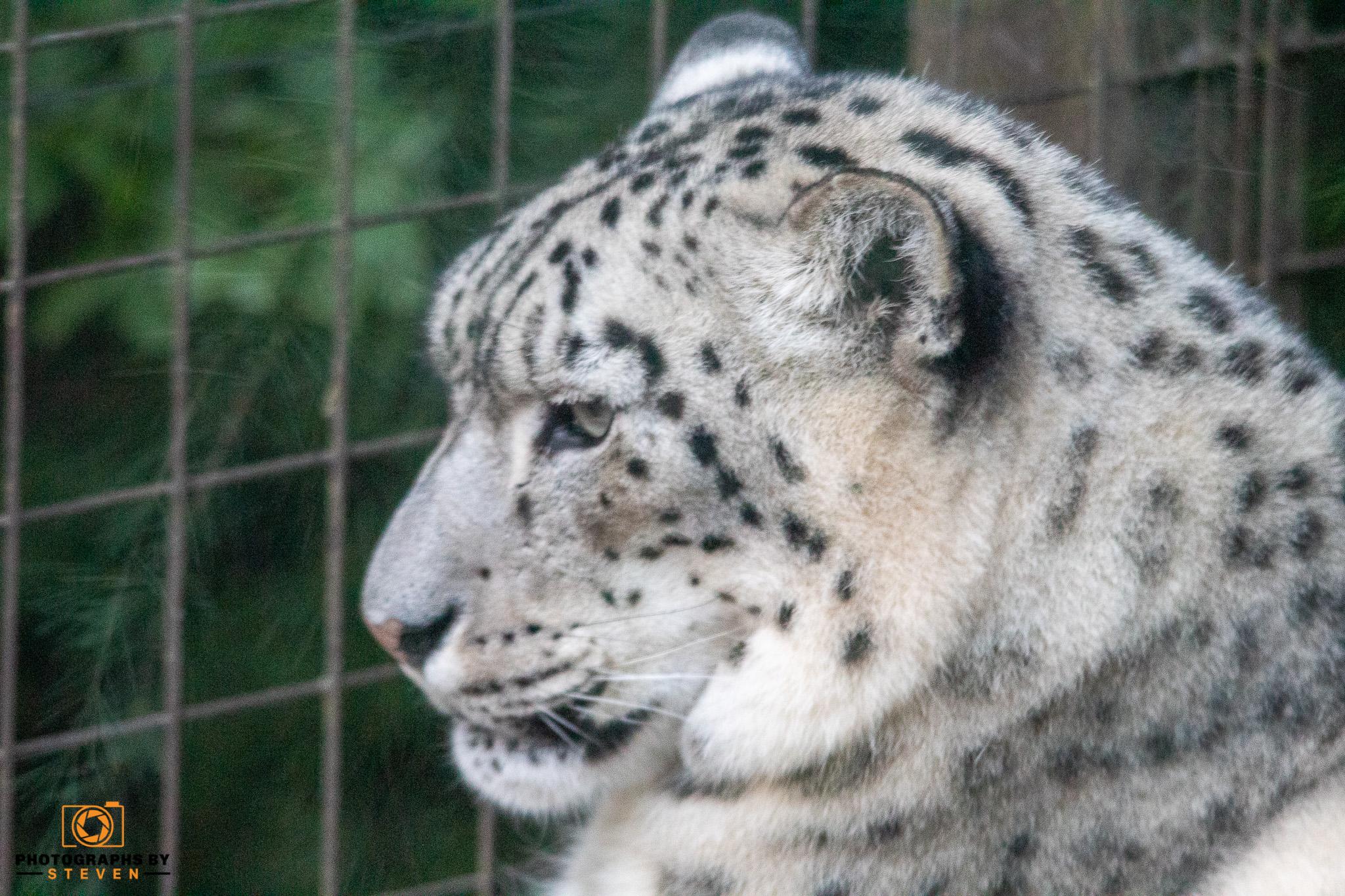 Paradise Wildlife Park Summer Evening 10